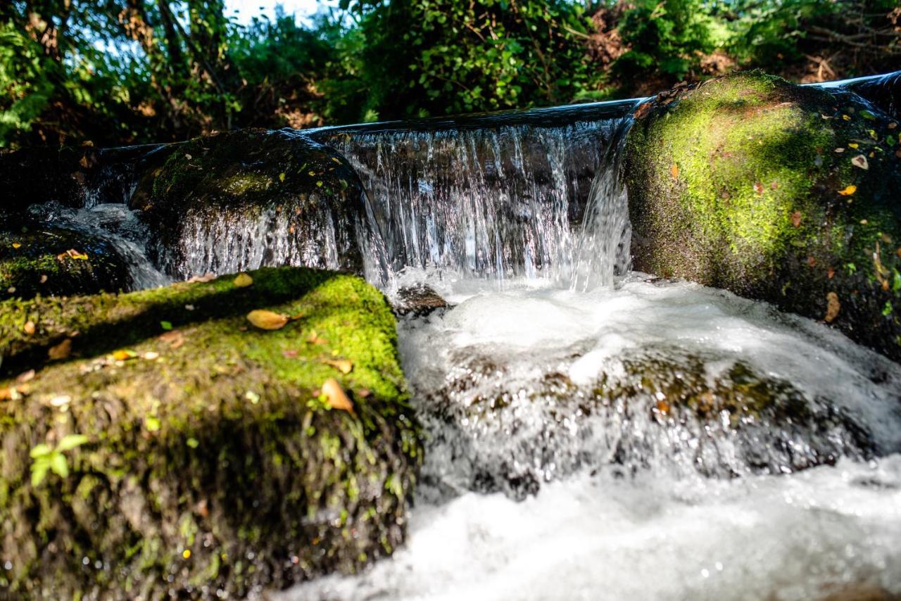 Quinta De Vila Nova - Agroturismo Monção Exteriör bild