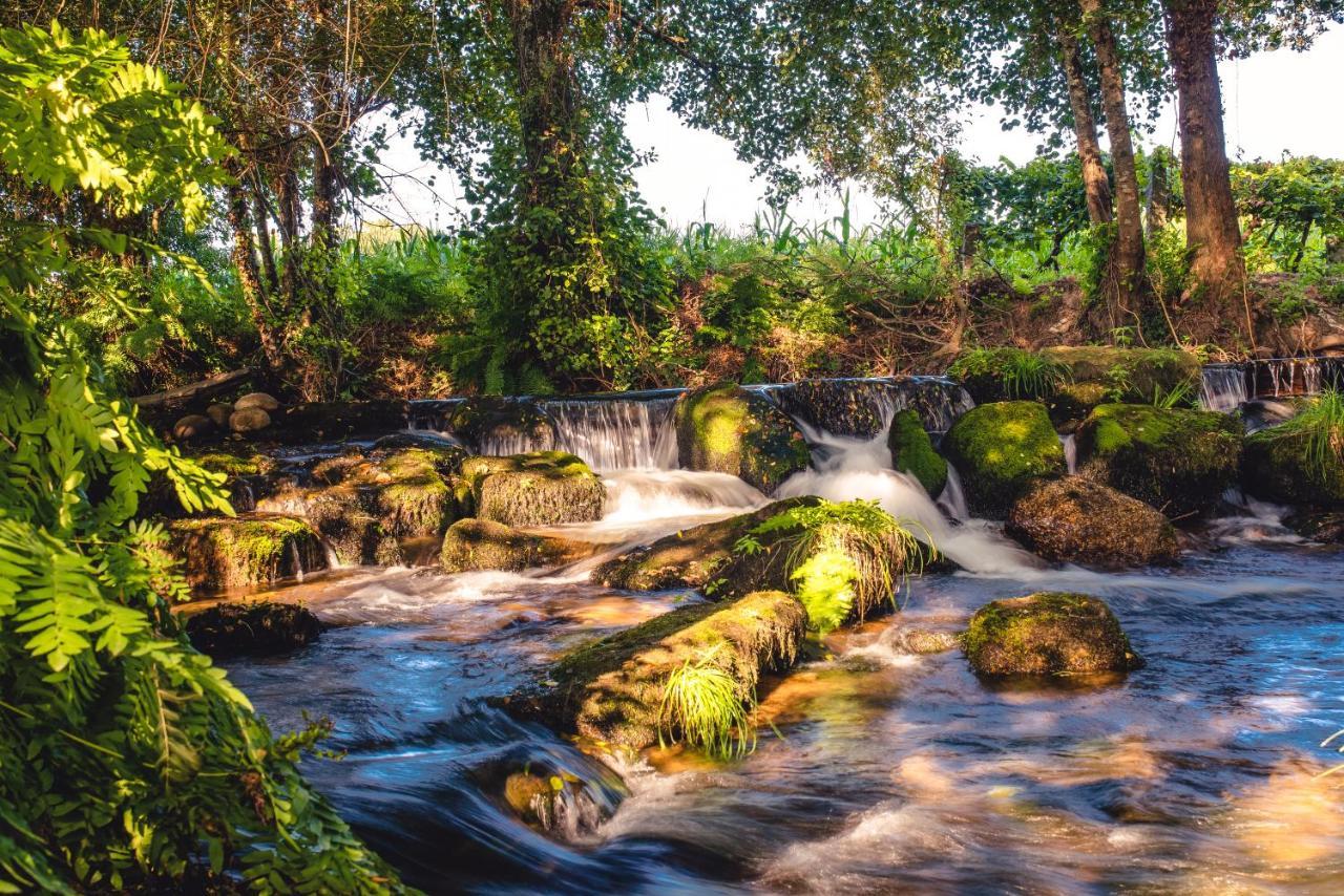 Quinta De Vila Nova - Agroturismo Monção Exteriör bild