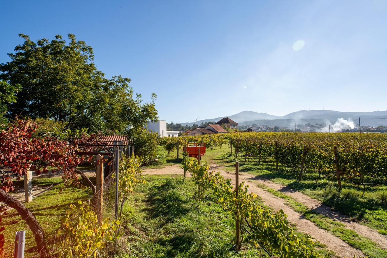 Quinta De Vila Nova - Agroturismo Monção Exteriör bild