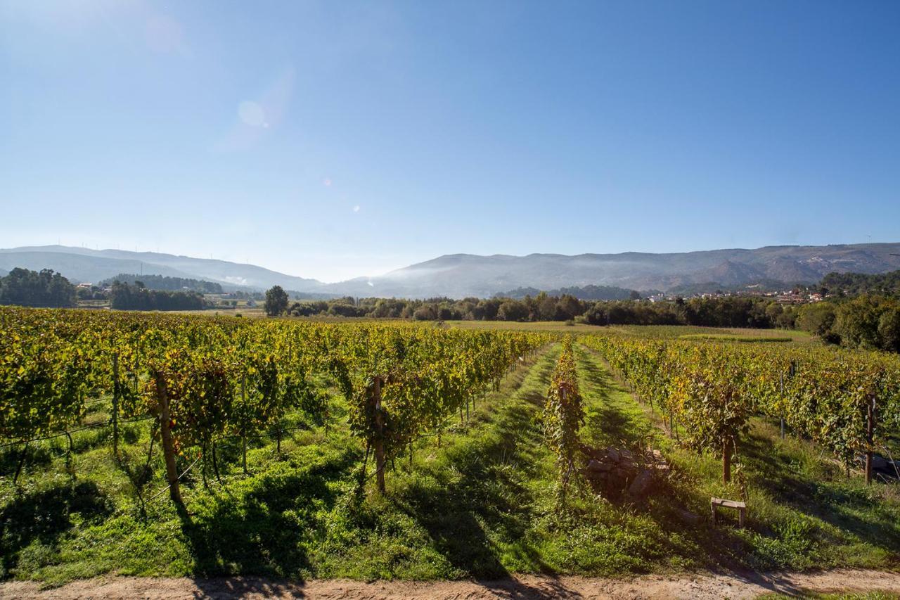 Quinta De Vila Nova - Agroturismo Monção Exteriör bild